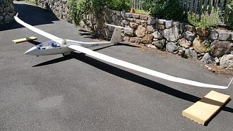Click image for larger version

Name:	Duo Discus X.jpg
Views:	855
Size:	180.8 KB
ID:	10819