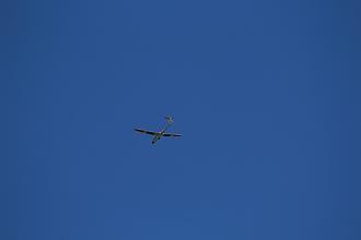 Click image for larger version

Name:	IMG_1272.JPG
Views:	336
Size:	21.5 KB
ID:	11303