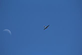 Click image for larger version

Name:	IMG_1291.JPG
Views:	350
Size:	23.5 KB
ID:	11313