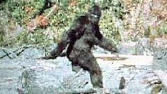 Click image for larger version

Name:	bigfoot1.jpg
Views:	340
Size:	61.3 KB
ID:	12821