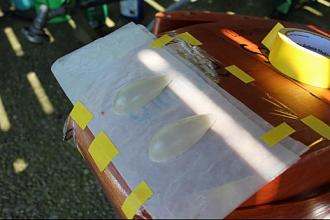 Click image for larger version

Name:	IMG_2172.JPG
Views:	439
Size:	120.7 KB
ID:	18756