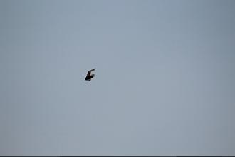 Click image for larger version

Name:	IMG_2197.JPG
Views:	381
Size:	45.2 KB
ID:	19365
