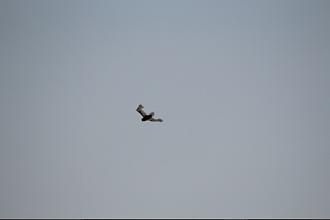 Click image for larger version

Name:	IMG_2198.JPG
Views:	376
Size:	42.3 KB
ID:	19367