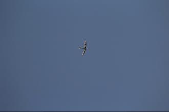 Click image for larger version

Name:	IMG_2231.JPG
Views:	381
Size:	46.1 KB
ID:	19377