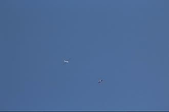 Click image for larger version

Name:	IMG_2336.JPG
Views:	312
Size:	46.4 KB
ID:	19432