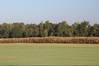 Click image for larger version

Name:	IMG_2422.JPG
Views:	331
Size:	119.2 KB
ID:	19459