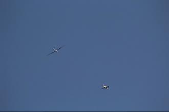 Click image for larger version

Name:	IMG_2356.JPG
Views:	334
Size:	44.6 KB
ID:	19477