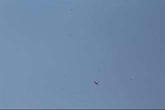 Click image for larger version

Name:	IMG_2361.JPG
Views:	310
Size:	48.5 KB
ID:	19478