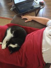 Click image for larger version

Name:	IMG_3267.JPG
Views:	493
Size:	7.3 KB
ID:	21385