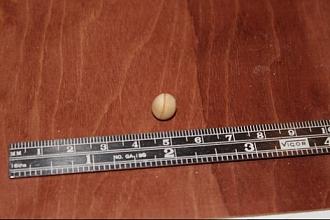Click image for larger version

Name:	IMG_2595.JPG
Views:	674
Size:	128.0 KB
ID:	21905