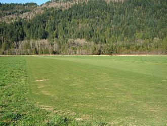 Click image for larger version  Name:	Agassiz Field 2.JPG Views:	1 Size:	231.3 KB ID:	24039