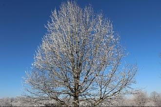 Click image for larger version  Name:	IMG_2837.JPG Views:	1 Size:	63.8 KB ID:	24416