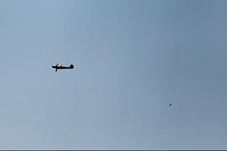 Click image for larger version

Name:	IMG_3238.JPG
Views:	305
Size:	9.6 KB
ID:	28643