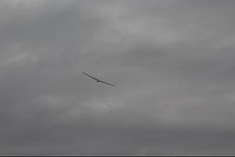 Click image for larger version

Name:	IMG_3343.JPG
Views:	306
Size:	11.3 KB
ID:	29086