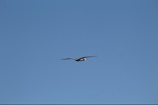 Click image for larger version

Name:	IMG_3971.JPG
Views:	104
Size:	9.5 KB
ID:	37283