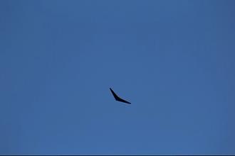Click image for larger version

Name:	IMG_4102.JPG
Views:	354
Size:	9.0 KB
ID:	38073