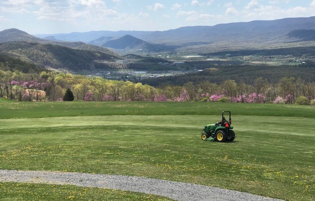 Click image for larger version

Name:	mowing.jpg
Views:	264
Size:	93.0 KB
ID:	44484