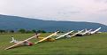 Gaggle of 2-33s.JPG