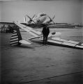 Click image for larger version

Name:	super albatross.jpg
Views:	480
Size:	25.3 KB
ID:	2613